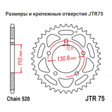JT Звезда цепного привода JTR75.43