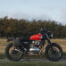 RB100 - Пара боковых сумок RB100 - Пара боковых сумок